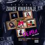 Zange Kwabanje (feat. Brie Lee, Millz TheFirst, NickyZee, TooLigit & Smash Mateza) [Femix - Drill Version] [Explicit]