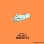 Dissect Freestlye