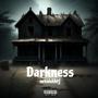 Darkness (Explicit)