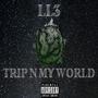 Trip N My World (Explicit)