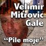 Pile moje