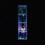 All Systems Are Lying / Run Free