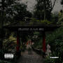 FLOW A LO 50 (Explicit)