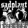 What You Reap is What You Sow (Explicit)