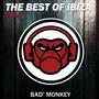 The Best Of Ibiza Vol.7, Compiled By Bad Monkey