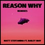 Reason Why (Remixes)