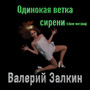 Одинокая ветка сирени (Slow Version)