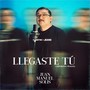 Llegaste Tú (Versión Radio)