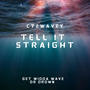 Tell It Straight (Explicit)