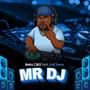 Mr Dj (feat. Justt Trevor)