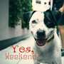 Yes, Weekend!