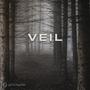 Veil