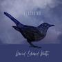 Blackbird (feat. Roisin O'Hagan & Kelly Bayfield)