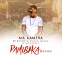 Pamusika (Remix)