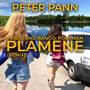 Plamene (Remix)