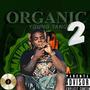 Organic 2 (Explicit)