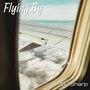 Flying By (Electro Dance Main Version)