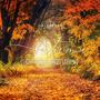 Autumn Symphonic Meditation