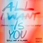 All I Want Is You (Still Not A Player) (feat. Che The Artist) [Explicit]