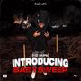 (No Skips) Introducing BabySweep [Explicit]