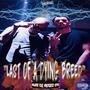 Last of a Dying Breed (feat. Vindicated Spec) [Explicit]