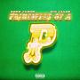 Principles of a P (Explicit)
