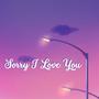 Sorry I Love You (Explicit)