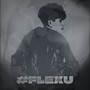 #Flexu (Explicit)