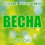 Vesna (feat. MC Zali)