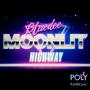 Moonlit Highway