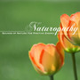 Naturopathy - Sounds of Nature for Positive Energy, Mind Body Connection