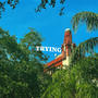 TRYING (feat. ZielHoly)