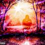 A Dense Testimony (Explicit)