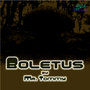 Boletus EP