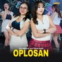 Oplosan