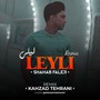 Leyli (Remix)