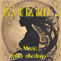 Back to the moon: 2