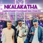 Nkalakatha (feat. Malume Staxx, _Karabo Small & Wama 902)