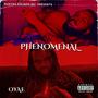 PHENOMENAL (Explicit)