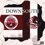 Down South (feat. Fonzi) [Explicit]