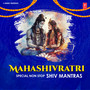 Mahashivratri Special Non-Stop Shiv Mantras