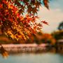 SEASONS