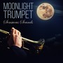 Moonlight Trumpet - Sensuous Sounds