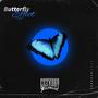 Butterfly Effect (Explicit)