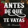 Antes De Que Te Vayas