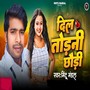 Dil Todni Chhori