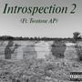 Introspection 2 (feat. TwoTone AP) [Explicit]