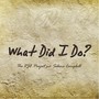 What Did I Do? (feat. Selina Campbell)