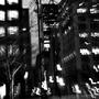 AUSPICE (Explicit)