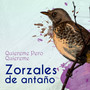 Zorzales de Antaño…Quiereme Pero Quiereme